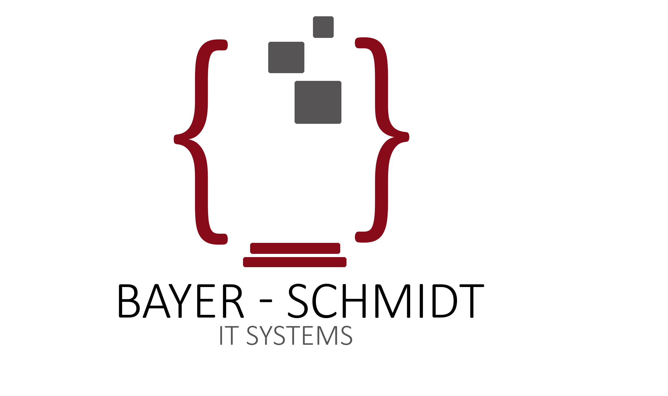 Bayer-Schmidt IT-Systems